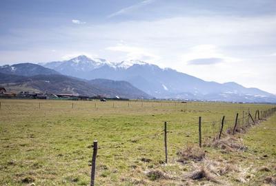 Teren Construcții intravilan de 6500 mp, în Glăjărie