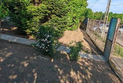 Casă cu 3 camere cu Teren 3000 Mp în Central - 5