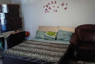 Apartament cu 2 camere decomandat în Bozovici - 3