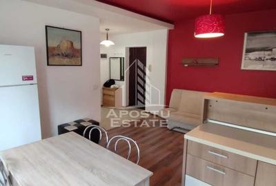 Apartament spațios de închiriat în Dumbrăvița - 360E/luna - 3