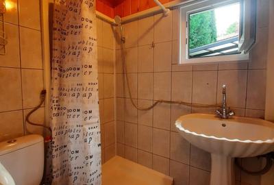 Casă cu 2 camere în Podul Vadului - 3