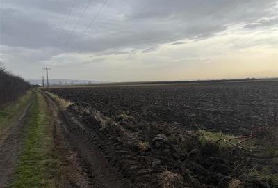 Teren agricol extravilan de 20300 mp, în Șura Mică - 4