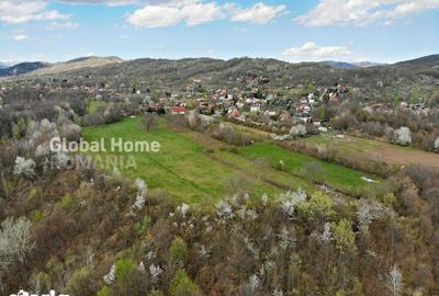 Teren de 23345 mp, în Cornu - 10