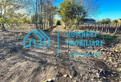 Teren de 996.08 mp, în Ștefăneștii de Jos - 1