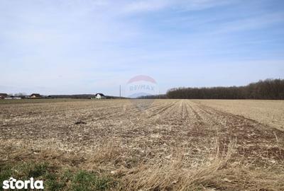 Teren de 9740 mp, în Bosanci - 3