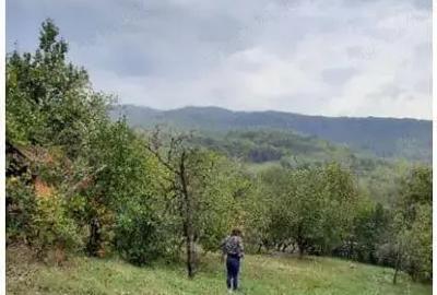 Vand casa si teren Drajna de Jos Vand casa si teren Drajna de Jos - 5