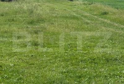Teren de 2900 mp, în Central - 2