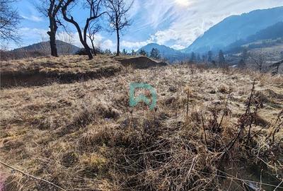 Teren intravilan de 850 mp, în Baciu - 4