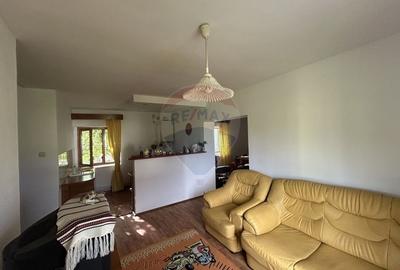 Casa cu teren de vanzare in Busag - 13