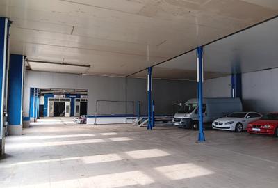 Teren de 5000 mp, în Titan - 13