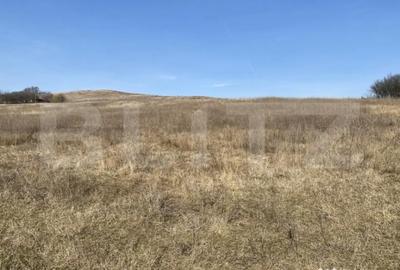 Teren de 140551 mp, în Recea - 10