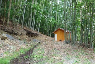 Teren montan cu priveliste si izvor - 5727mp in Buces, langa padure Teren montan cu priveliste si izvor - 5727mp in Buces, langa padure - 6