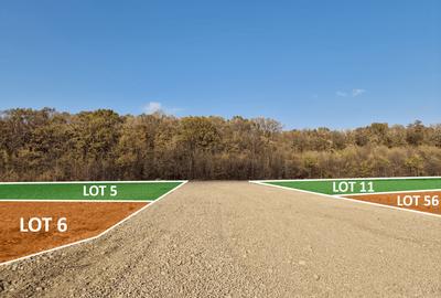 Loturi de casă 720 - 900 mp, langă Pădure în eForest, acces asfaltat - 2