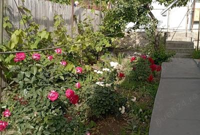 Casă cu 4 camere în Central - 5