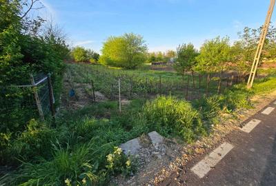 Teren de 1200 mp, în Valea Argovei - 3