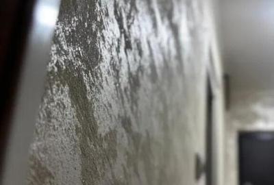 Apartament cu 2 Camere Decomandate-Parter Zona Burdujeni - Cuza Voda 2 - 3