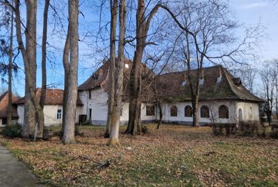 Proprietate deosebita. Potential atractie turistica - Conac Ilovat, MH - 8