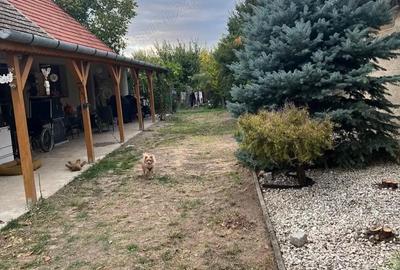 Casă cu 1 camere cu Teren 1104 Mp în Satchinez - 2