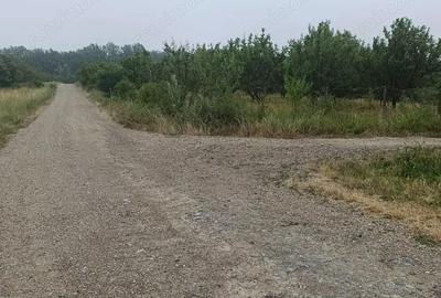 Teren de 76200 mp, în Lugoj - 2