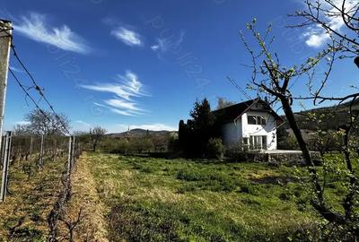 Casă cu 6 camere în Păuliș - 4