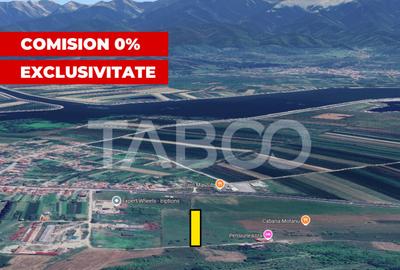 COMISION 0% Teren intravilan de vanzare 4460 mp Bradu Sibiu - 2