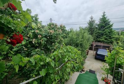 Casa de vanzare in Dancu - 5
