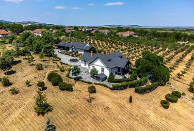 Visezi la o proprietate unică, plină de istorie și farmec? - 1