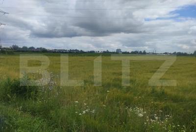 Teren de 6600 mp, în Rădăuți - 2