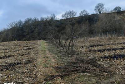 Spațiu comercial, în Măgura - 18
