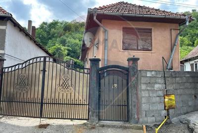 Casa cu 3 camere de vanzare
