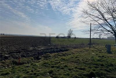 Teren de 5985 mp, în Nojorid - 11