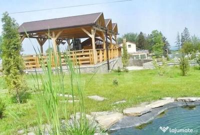 Spațiu comercial, de 750 mp, în Frumoasa - 2