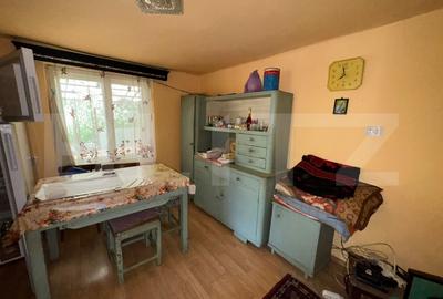 Casa in Bacia - teren generos 6.557 mp, ideal pentru investitie! - 10