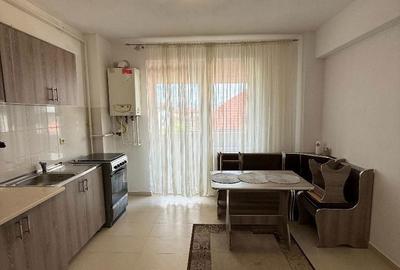 Apartament cu 2 camere în Cetate - 2