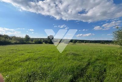 Teren pentru dezvoltare imobiliara - 9 loturi - 5764 mp Rasinari - 3