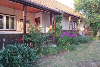 Casa primitoare situata într-o zona foarte frumoasa, liniștită cu pomi fructifer - 7