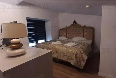 Panorama si Stil Duplex cu 2 Camere si Terasa Spectaculoasa , Complex modern, langa Marriott - 11