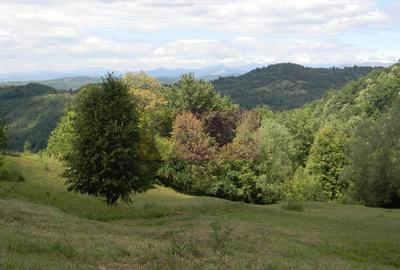 Teren intravilan de vanzare in Telega - 3