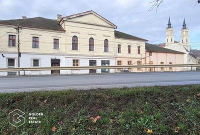Casă cu 6 camere cu Teren 4468 Mp în Central - 1