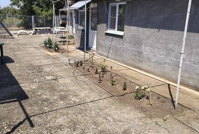 Casă cu 4 camere în Deta - 2
