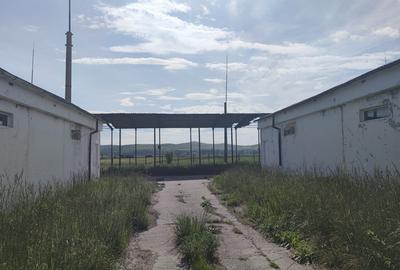 Hale pentru depozitare sau productie, teren aferent, vanzare sau inchiriere. - 4