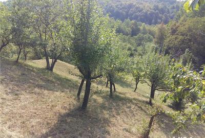 Teren de 5200 mp, în Central