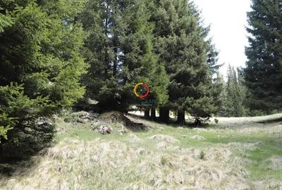 Teren de 50000 mp, în Pietroșița - 4