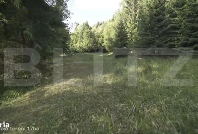 Spațiu comercial, în Colibița - 6