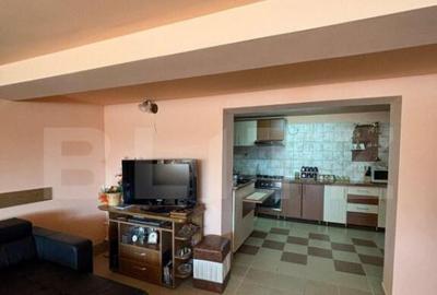 Casa cu destinatii multiple, 8900 mp teren, Vatra Moldovitei - 8