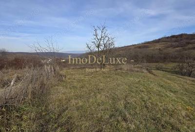 Teren extravilan langa lac, 8500mp, priveliste, acces, utilitati, zona Baciu - 1