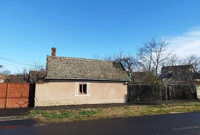 Vand casa Pecica - 2