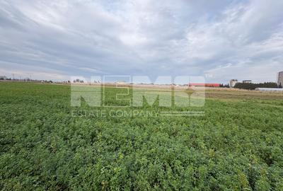 Teren Construcții intravilan de 6700 mp, în Sud-Est - 3