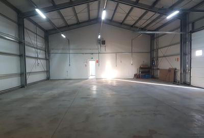 Bogdan Voda, hala 300mp, canalizare 380 V birouri teren 700, acces TIR - 2