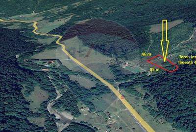 Teren de 4003 mp, în Babarunca - 3